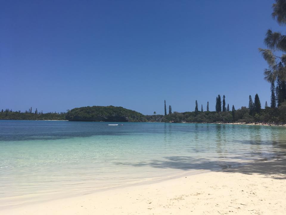 21766364_10210530223800489_5657585137612462598_n